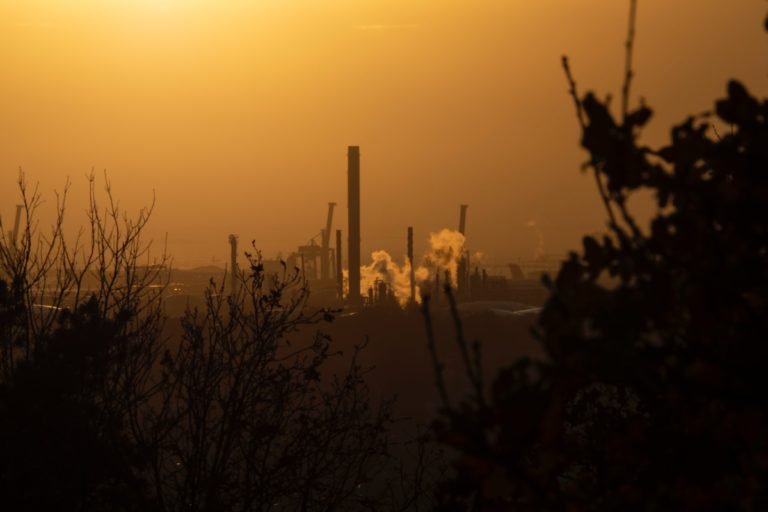 kuno-schweizer-7DS1Ax1Z2Cw-unsplash
