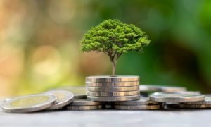 inversiones sostenibles