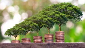 Bolsa Mexicana de Valores