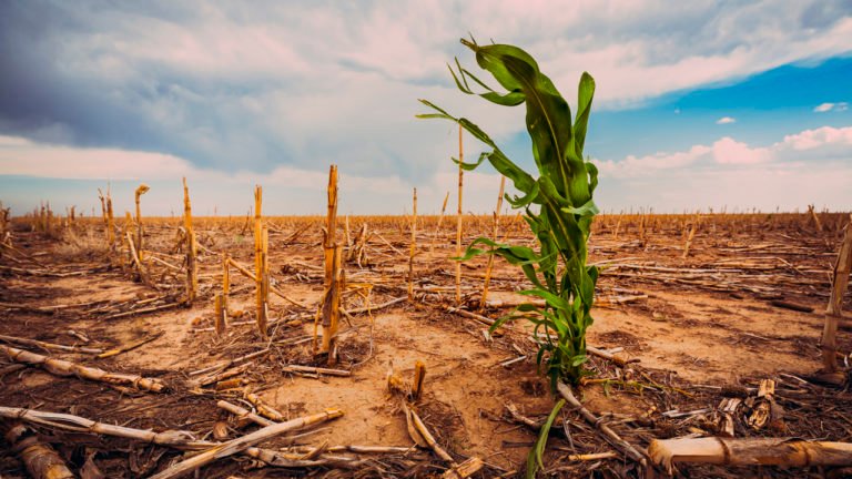 Impacto climático