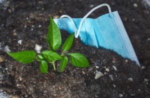 cambio climatico 2020