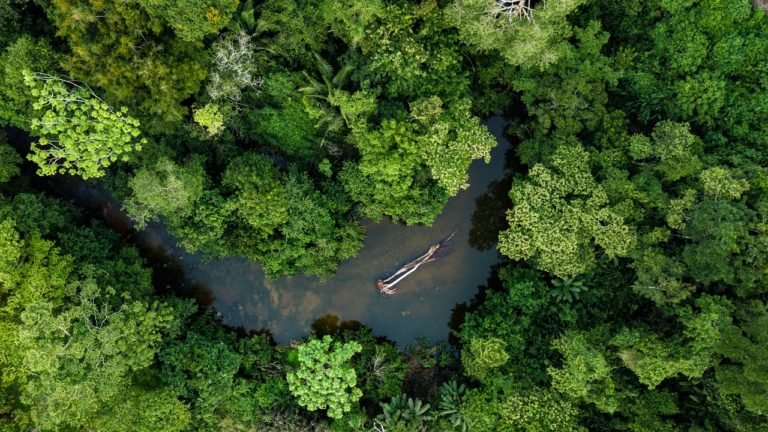 Aerial,Photo,Of,River,In,Amazon,Rainforest,Jungle,In,Peru