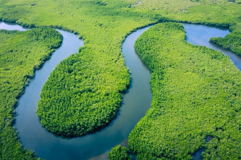 Compromiso social natura