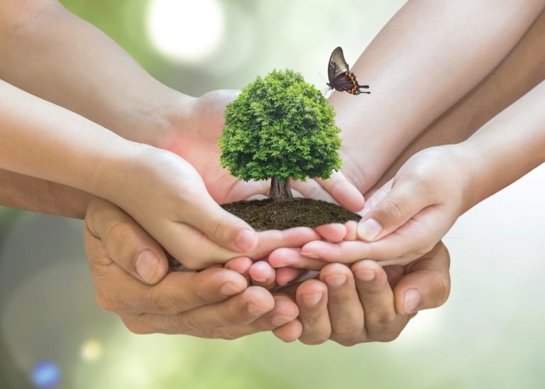 World,Environment,Day,And,Sustainable,Environment,Concept,In,Father,-