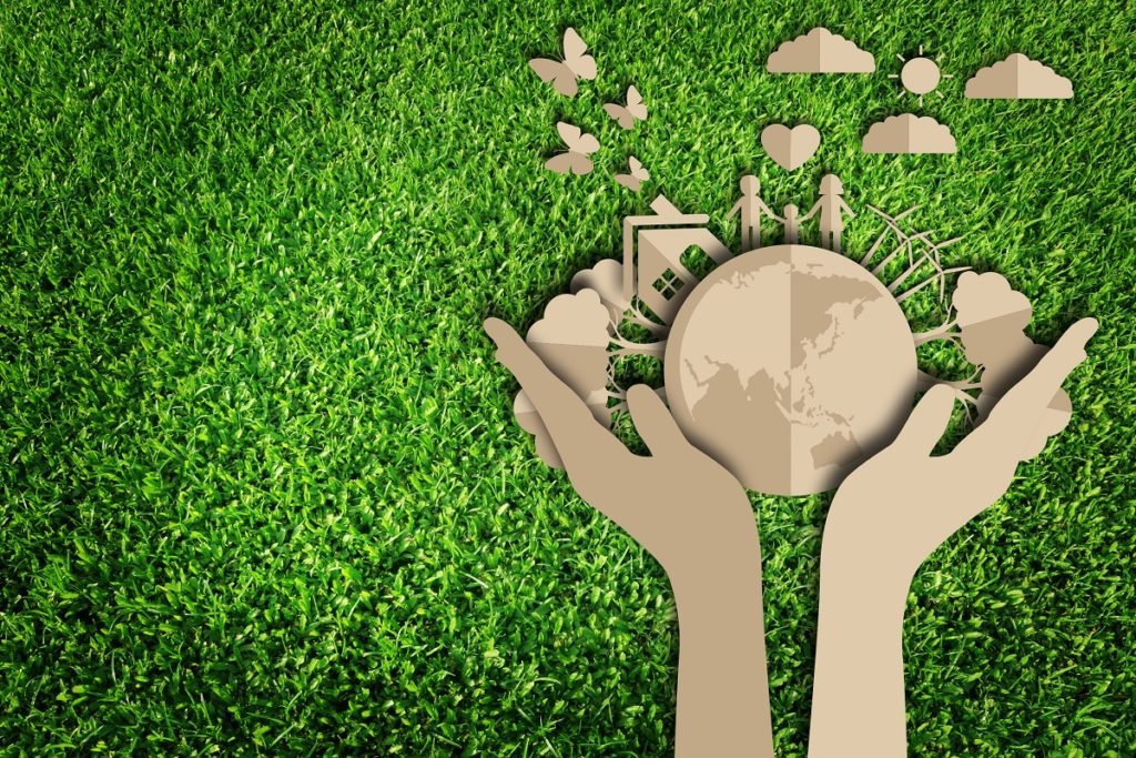 Día Mundial de la Educación Ambiental: desafíos de la conservación del planeta