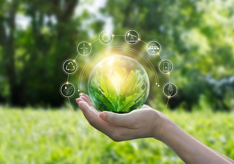 Hands,Protecting,Globe,Of,Green,Tree,On,Tropical,Nature,Summer