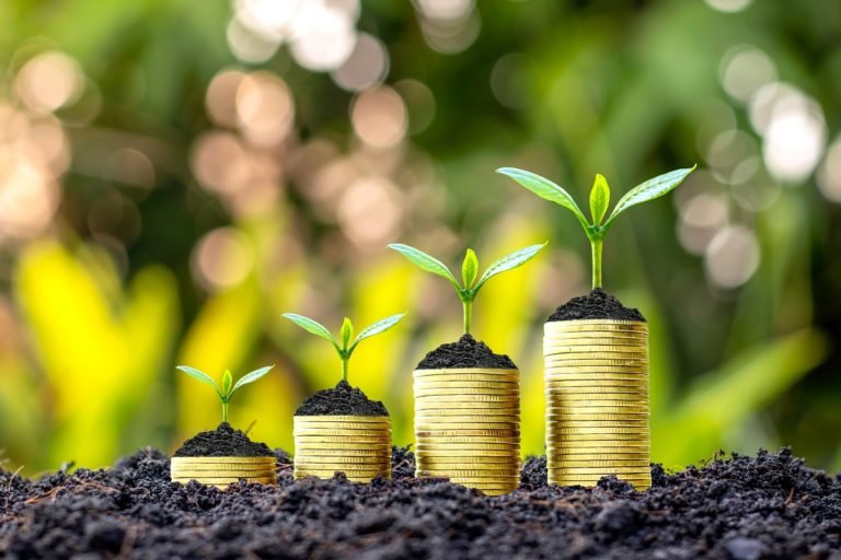 Trees,Are,Growing,With,Money,And,Fertile,Soil,As,A