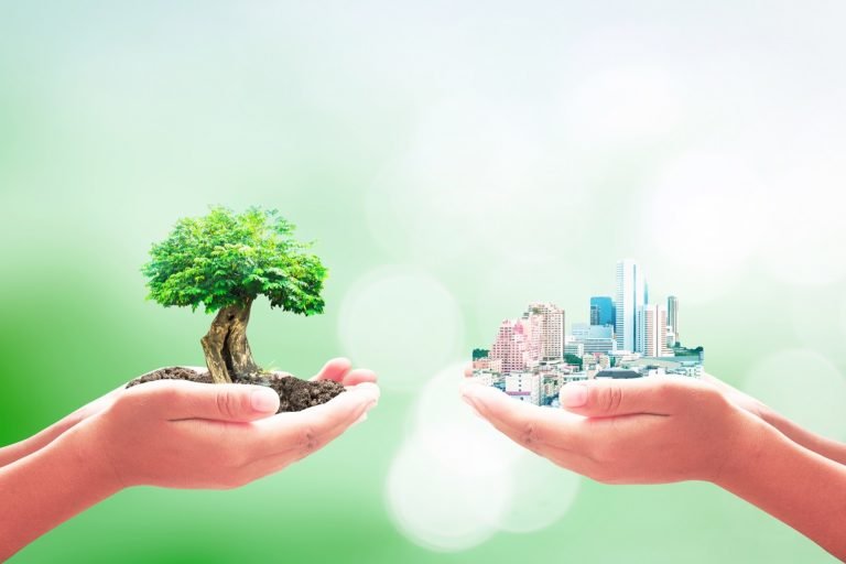 World,Environment,Day,Concept:,Two,Human,Hands,Holding,Big,Tree