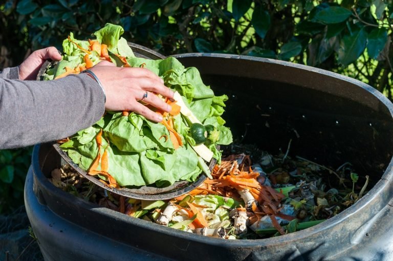 Composting,The,Kitchen,Waste