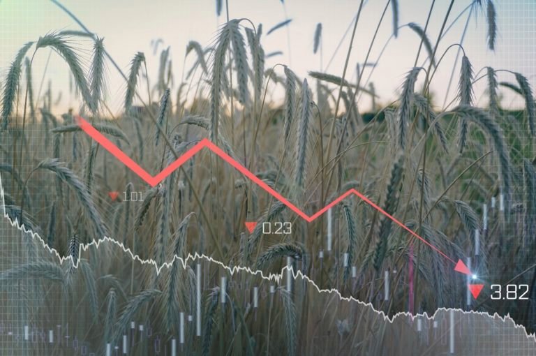 crisis alimentaria