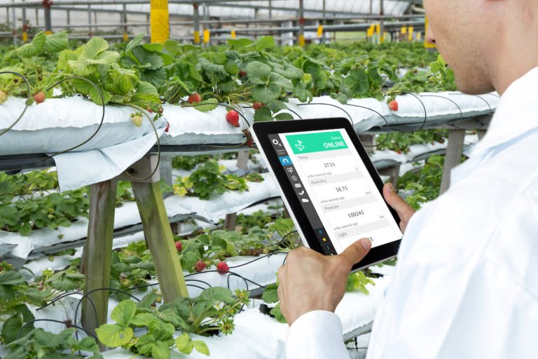 Smart,Agriculture,,Farm,,,Sensor,Technology,Concept