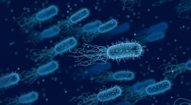 bacteria-gfd9eca7a6_1280