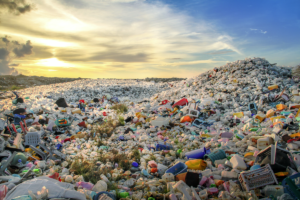 Plásticos reciclables