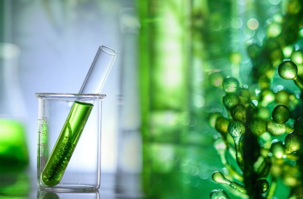 biocombustible