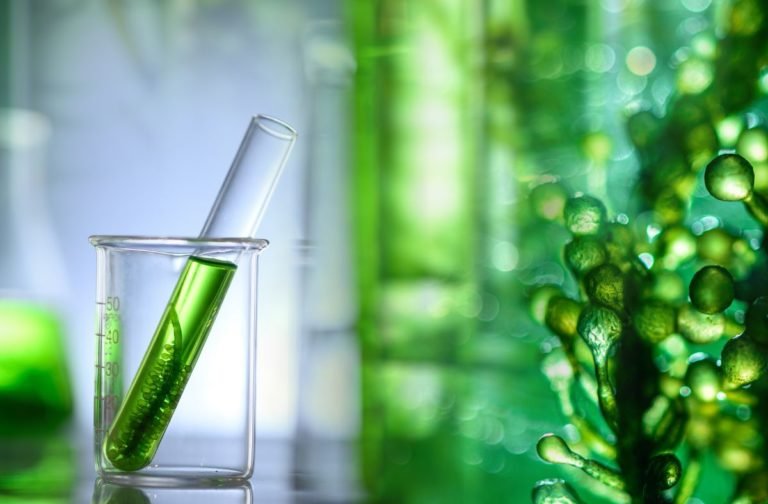 biocombustible