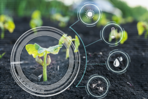 agricultura sustentable