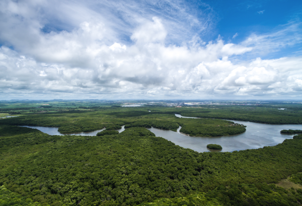 Amazonia
