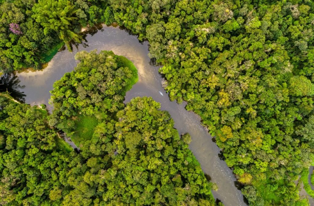 Amazonas