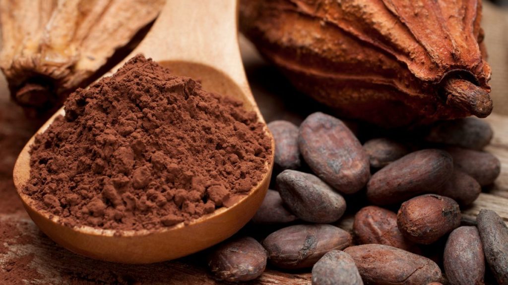 cacao