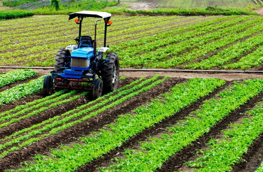 agricultura regenerativa