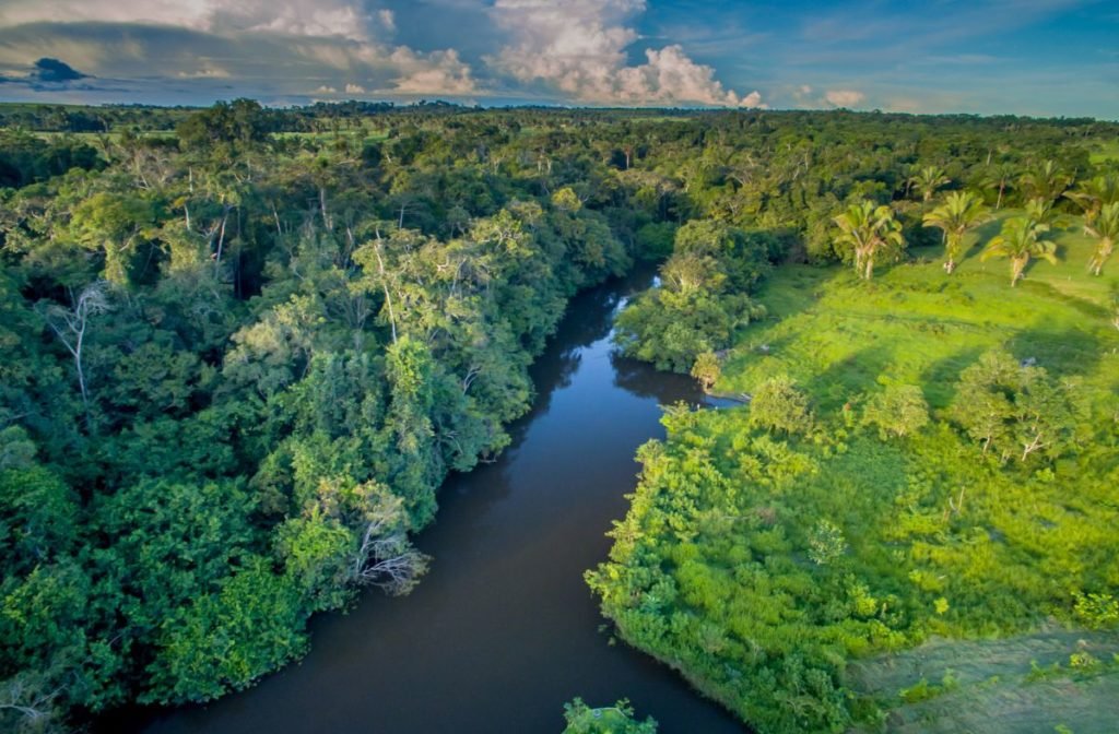 deforestación