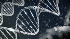 Pruebas genéticas permiten atacar la diabetes antes de que se manifieste.