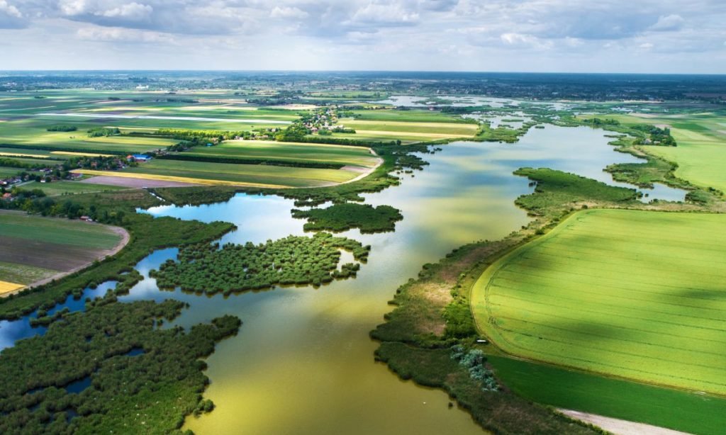Biodiversidad
