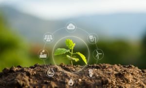 materia medioambiental