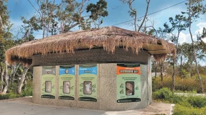 Educación ambiental