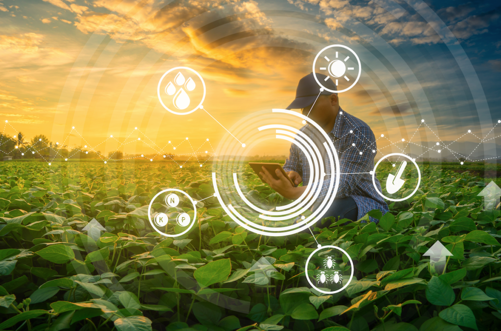 agricultura regenerativa