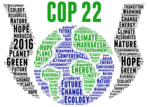 COP27