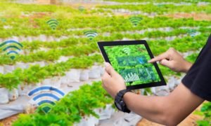 agricultura inteligente