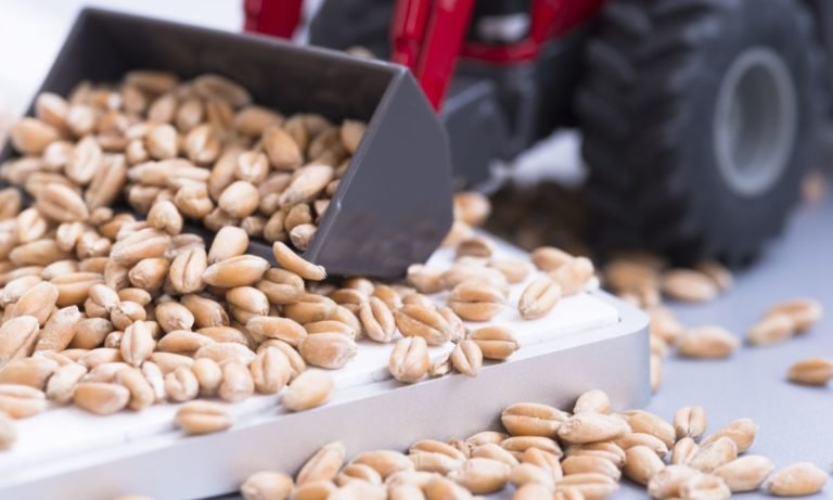 Alimentos