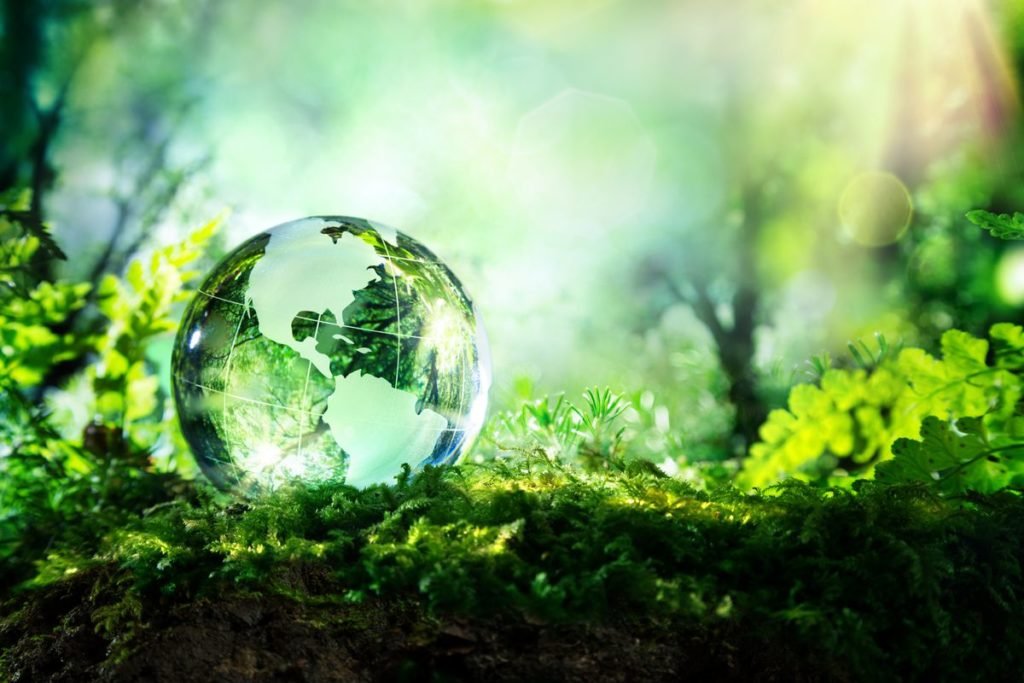 Chief Sustainability Officer, entre los nuevos puestos directivos en las empresas.