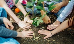 Día Mundial de la Tierra