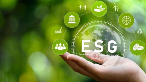 Administradores de activos de Asia, rezagados en riesgos ESG: WWF.