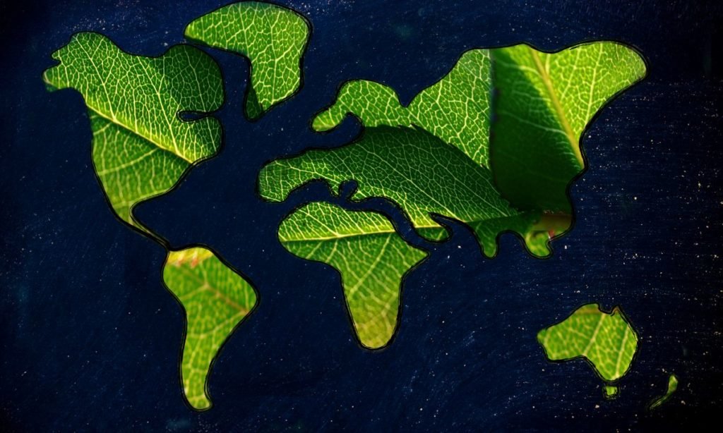 estados ecologistas