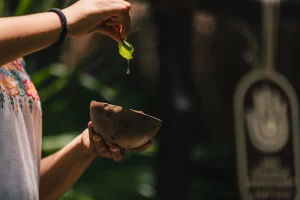 Realizan ceremonia de cosecha de miel en Xel-Há.