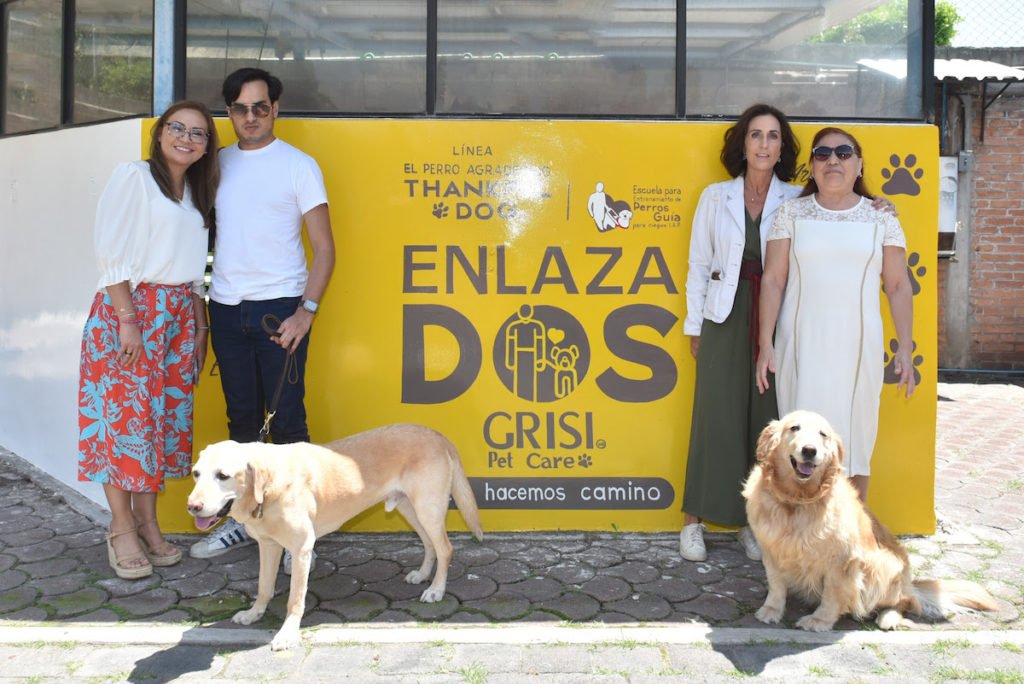 perros guía