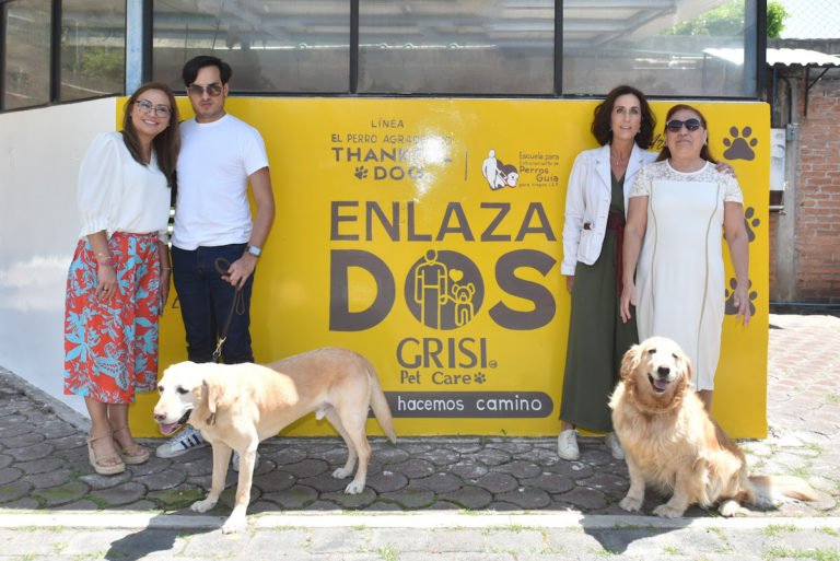 perros guía