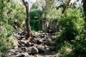 Charco Bendito