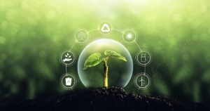 agricultura sostenible