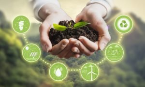 financiamiento sostenible