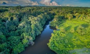 explotación petrolera