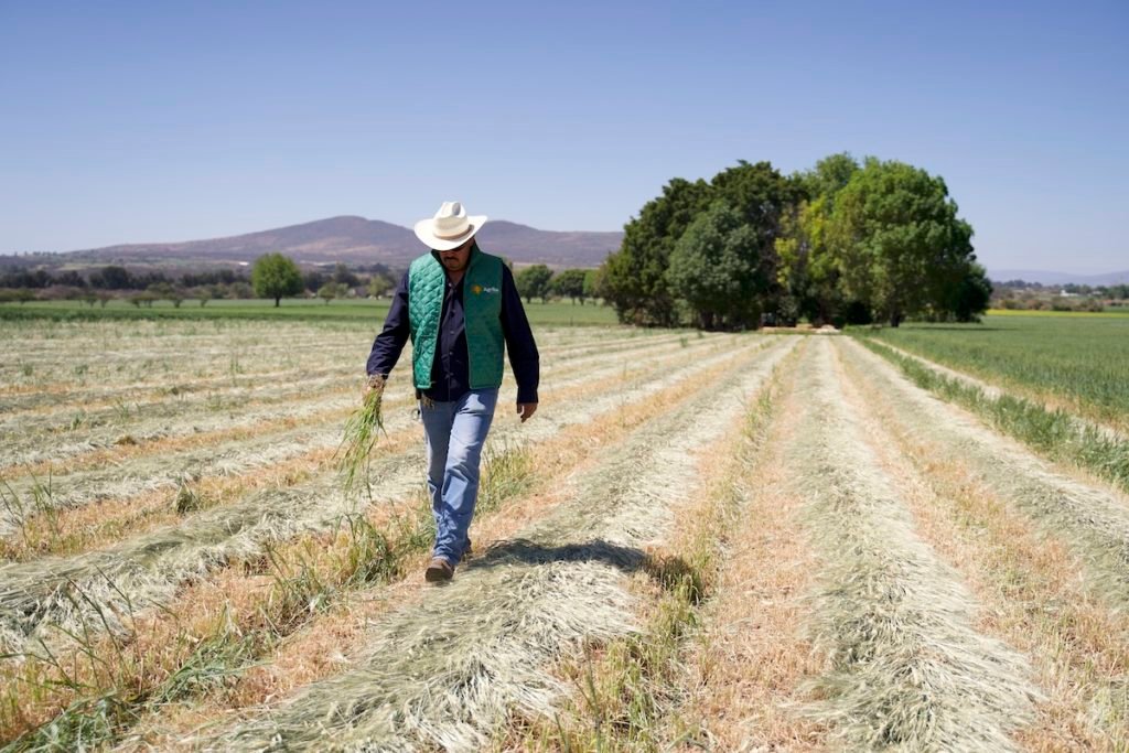 agriba sustentable