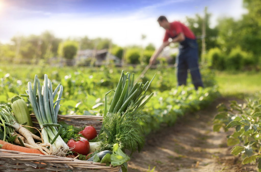 Better Life Farming