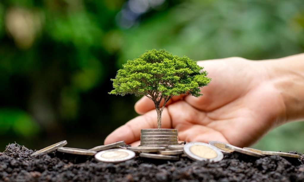 acciones sustentables