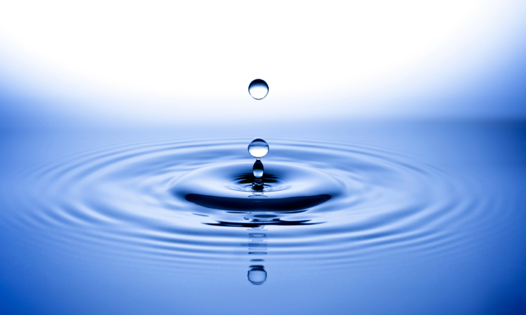 Congreso Mundial del Agua