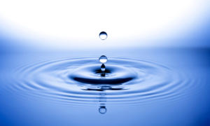 Congreso Mundial del Agua