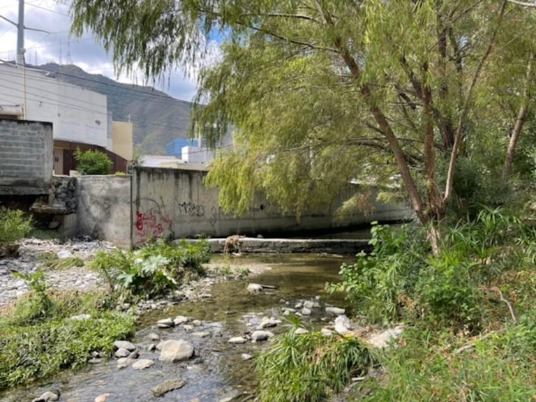 Arroyo Vivo, suma de esfuerzos a favor del medio ambiente en Monterrey.